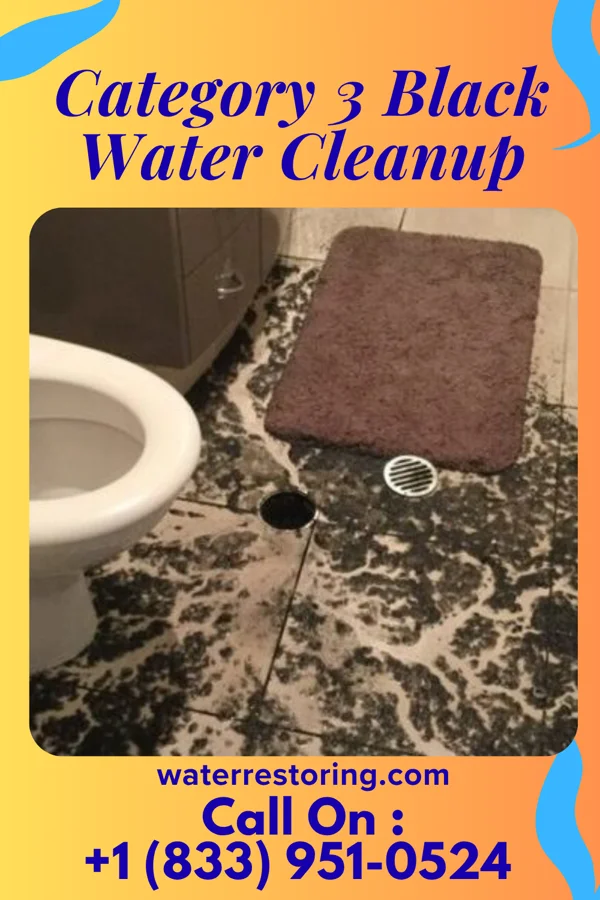 Category 3 Black Water Cleanup in Waynoka, OK