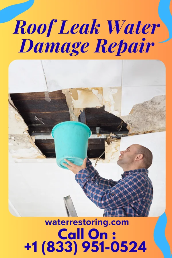 Roof Leak Water Damage Repair in Waynoka, OK
