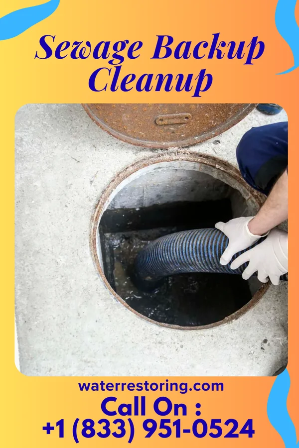 Sewage Backup Cleanup in Waynoka, OK